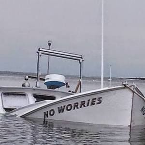 Meet your Posher, Bill